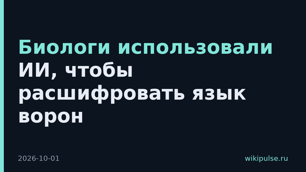 Биологи использовали ИИ, чтобы расшифровать язык ворон