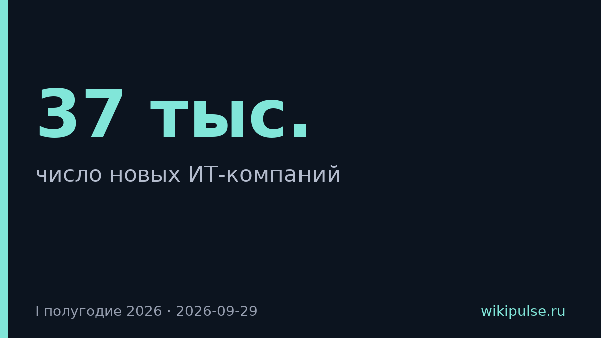 В России открыли 37 тыс. новых ИТ-компаний за полугодие