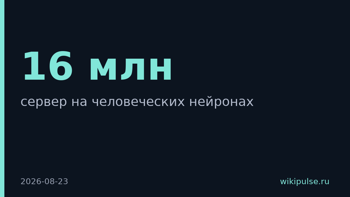 В Сингапуре запустили биосервер из 16 млн нейронов